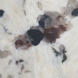 Meet your Posher, Erinn